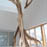 Agnes Keil, the tree,  for Baufritz company Erkheim, 2013, height 12m